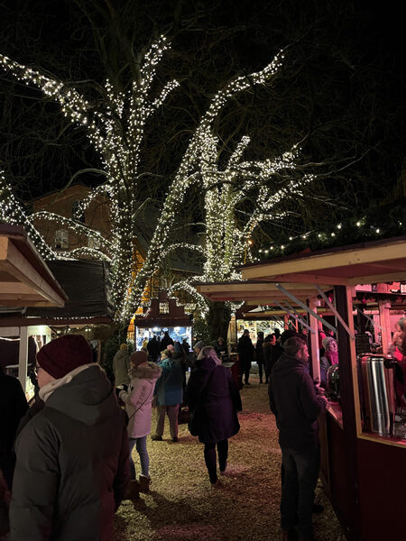 Besucher auf dem Weihnachtsmarkt am Alten Kran